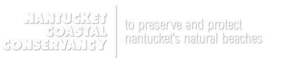 NCCWebLogo